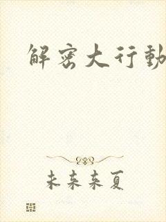 解密大行动
