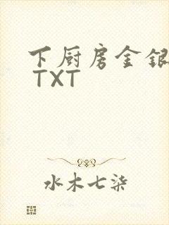 下厨房金银花露 TXT封面