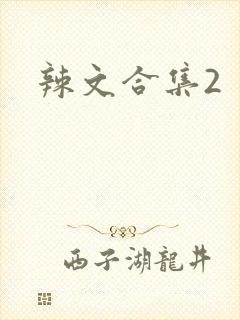 辣文合集2封面