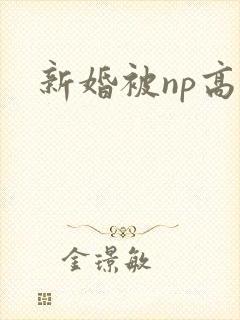 新婚被np高h