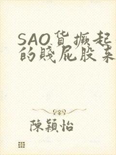 SAO货撅起你的贱屁股来封面