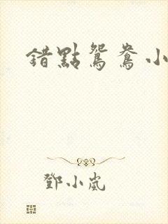 错点鸳鸯小说
