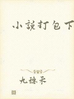 小说打包下载
