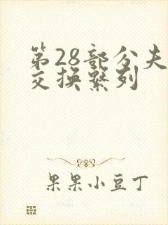 第28部分夫妇交换系列