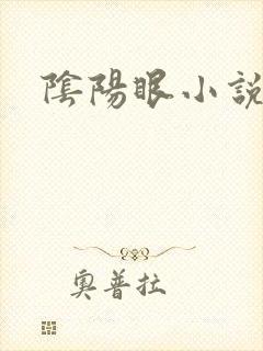 阴阳眼小说