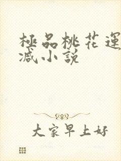 极品桃花运未删减小说
