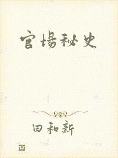 官场秘史