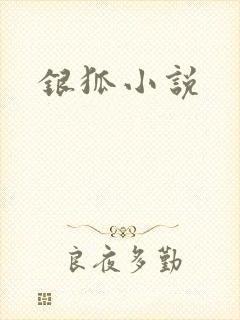 银狐小说