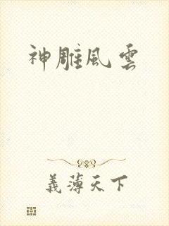 神雕风云