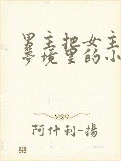 男主把女主拖进梦境里的小说