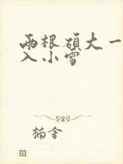 两根硕大一起挤入小雪