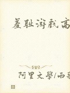 羞耻游戏高h封面