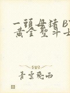 一头母猪 BY 黄金圣斗士