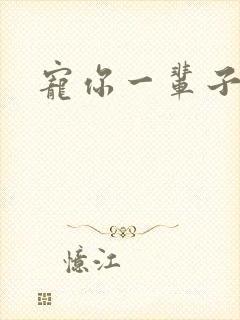 宠你一辈子封面