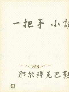 一把手 小说