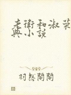 老卫和淑荣的经典小说