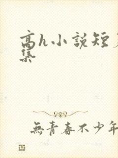 高h小说短篇合集封面