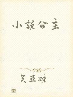 小说公主封面