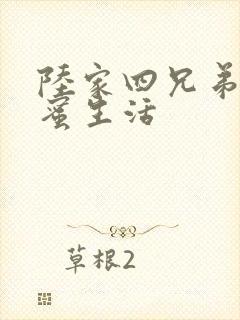 陆家四兄弟的甜蜜生活