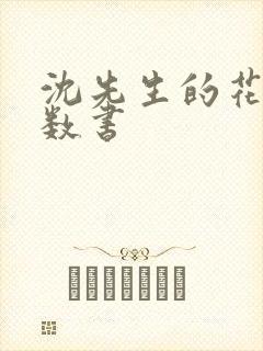 沈先生的花式调数书