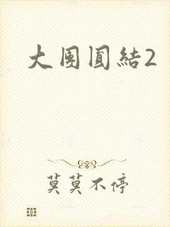 大团圆结2