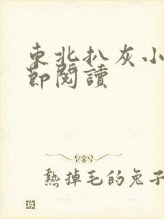 东北扒灰小说分节阅读