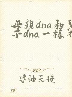 母亲dna和儿子dna一样不