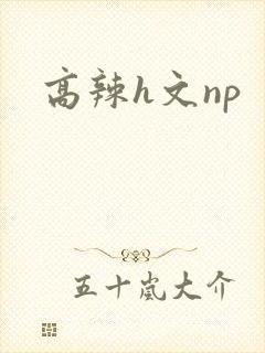 高辣h文np