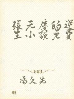 张元庆的逆袭人生小说免费阅读封面