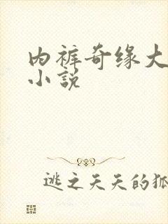 内裤奇缘大团结小说