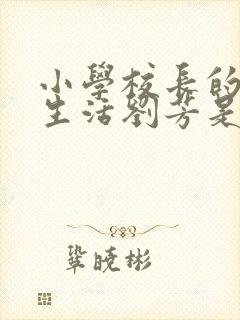 小学校长的幸福生活刘芳是谁封面