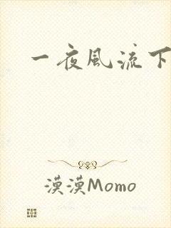 一夜风流下载封面