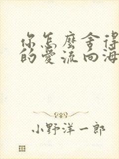 你怎么舍得让我的爱流向海