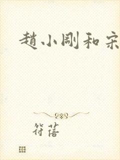 赵小刚和宋雨晴封面