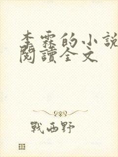 李霖的小说免费阅读全文