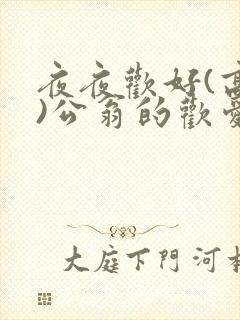 夜夜欢好(高h)公翁的欢爱h封面