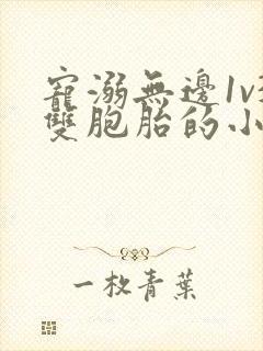 宠溺无边1v3双胞胎的小说