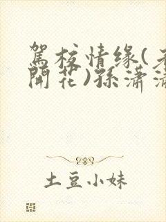 驾校情缘(老树开花)孙潇潇第一次趣笔阁