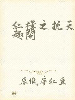 红楼之挽天倾笔趣阁封面