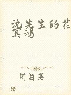 沈先生的花式调冥鸿