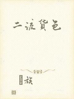 二流货色