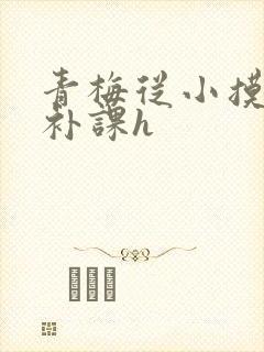 青梅从小摸到大补课h