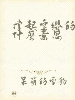 撑起云缨的腿是什么意思