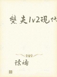 双夫1v2现代封面