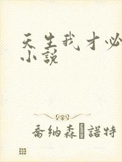 天生我才必有用小说