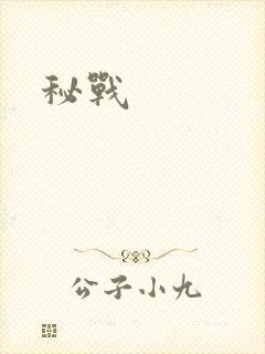 秘战
