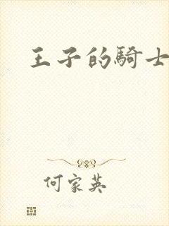 王子的骑士小说封面