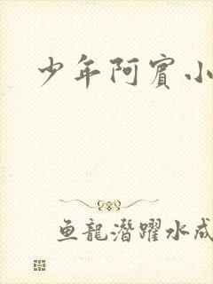 少年阿宾小说封面