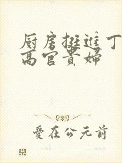 厨房挺进丁字裤高官贵妇