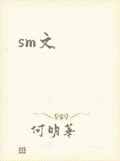 sm文封面